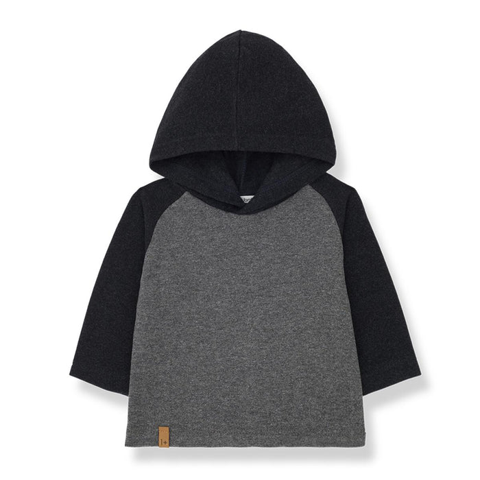 One More In The Family- Damia Hooded T-shirt (grey)