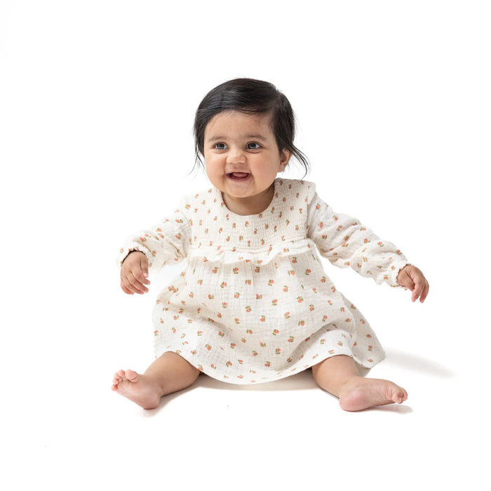 Angel Dear- Petite Pointe Fleur  Long Sleeve Smocked Ruffle Bubble with Skirt