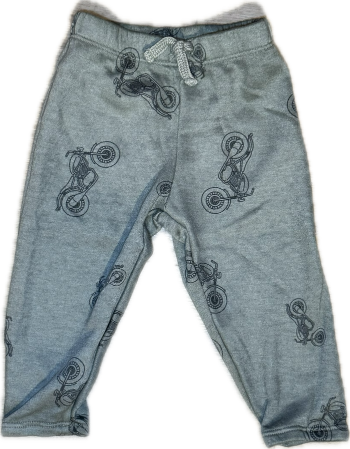 COZII- MOTORCYCLE ATHLETIC SWEATPANT (sage)