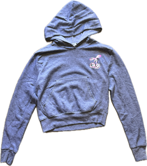 FIREHOUSE- Disco Cherry Pullover Hoodie (grey)